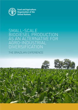 Small-Scale Biodiesel Production As an Alternative for Agro-Industrial