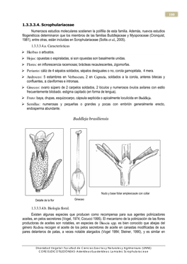 100 1.3.3.3.4. Scrophulariaceae Numerosos Estudios