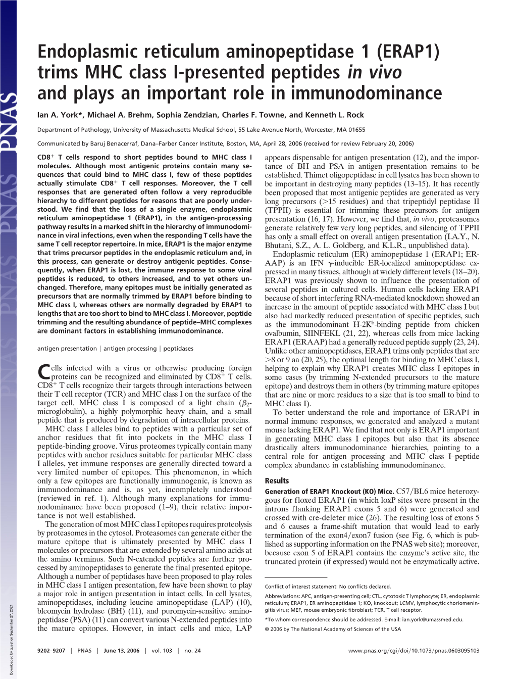 Endoplasmic Reticulum Aminopeptidase 1 (ERAP1) Trims MHC Class I-Presented Peptides in Vivo and Plays an Important Role in Immunodominance