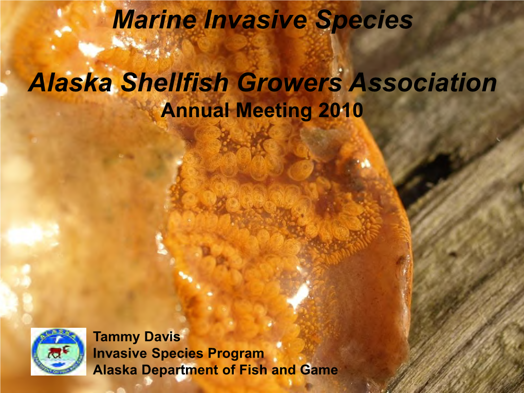 Marine Invasive Species Alaska Shellfish Growers Association