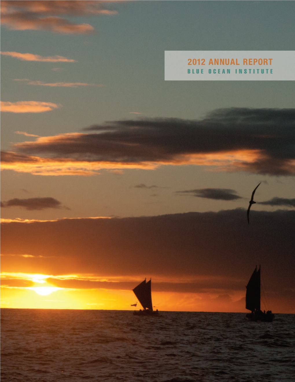 2012 Annual Report