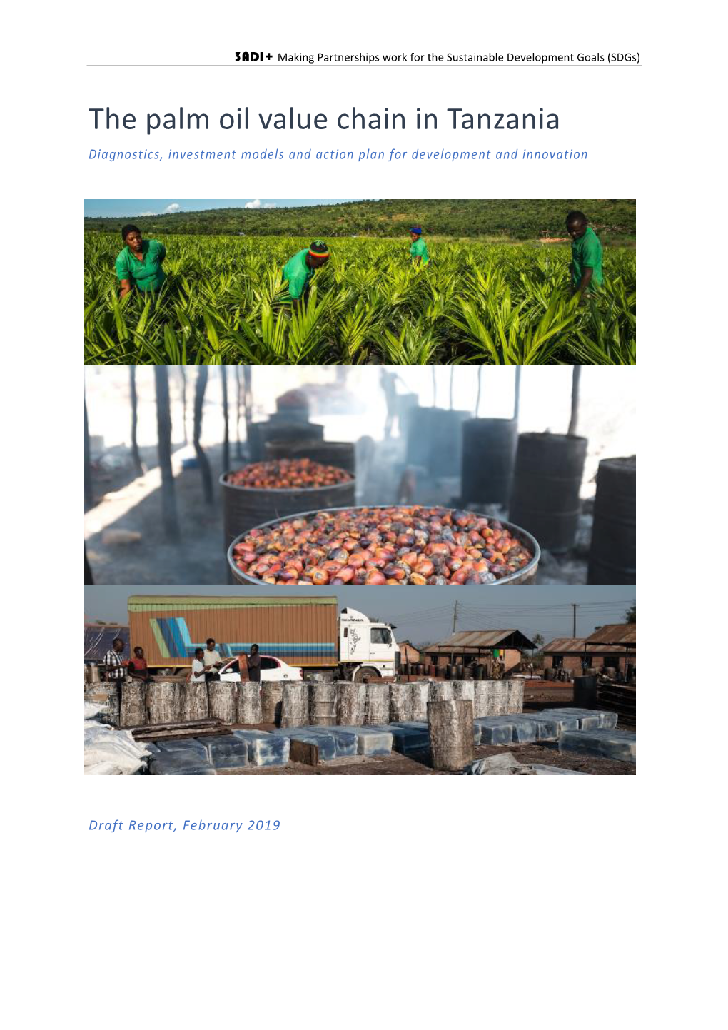 The Palm Oil Value Chain in Tanzania Diagnostics, Investment Models and Action Plan for Development and Innovation
