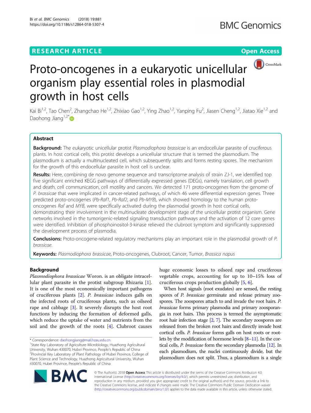 Proto-Oncogenes in a Eukaryotic Unicellular Organism Play Essential