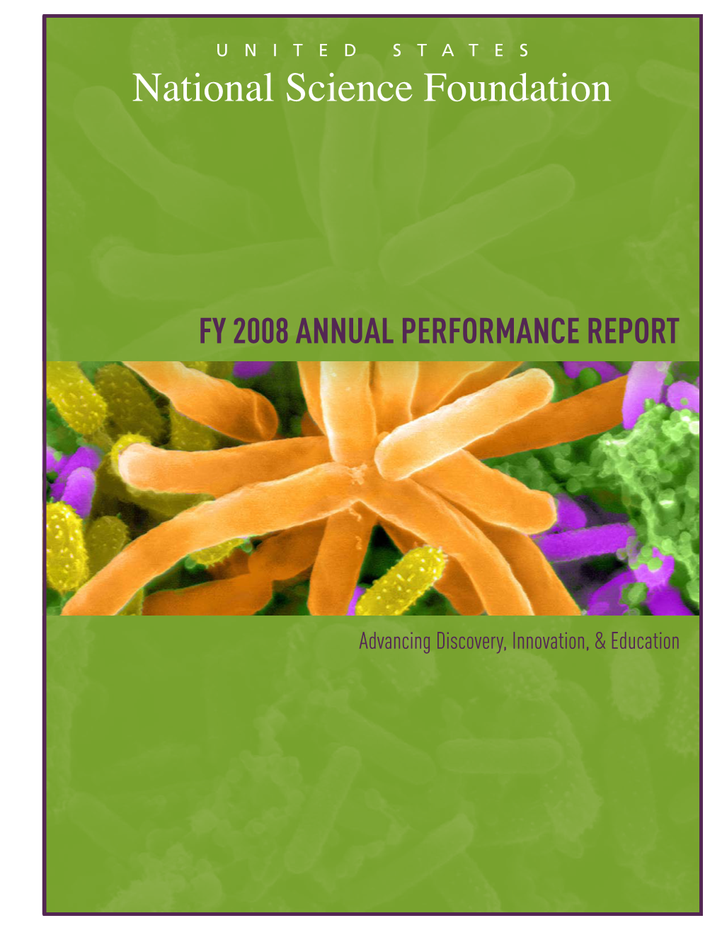 FY 2008 Annual Performance Report