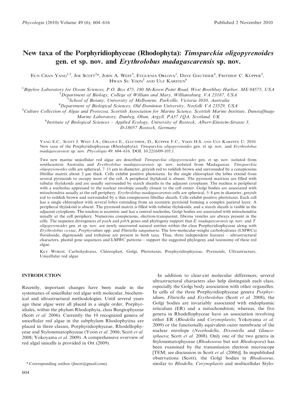 (Rhodophyta): Timspurckia Oligopyrenoides Gen