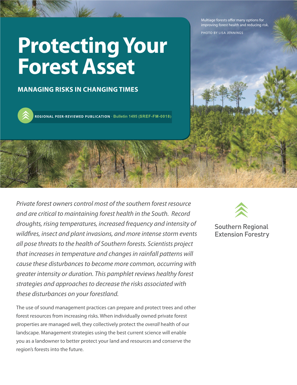 Protecting Your Forest Asset