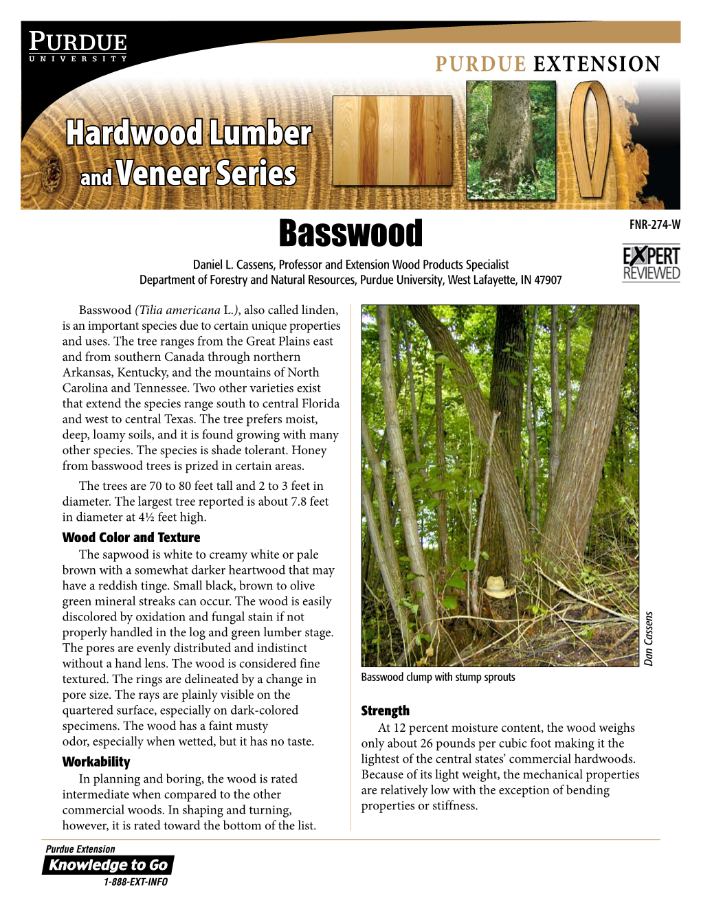 Hardwood Lumber and Veneer Series: Basswood