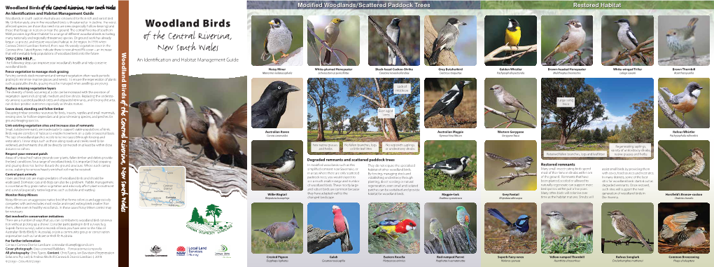 Woodland Birds Central Riverina NSW 2018 1