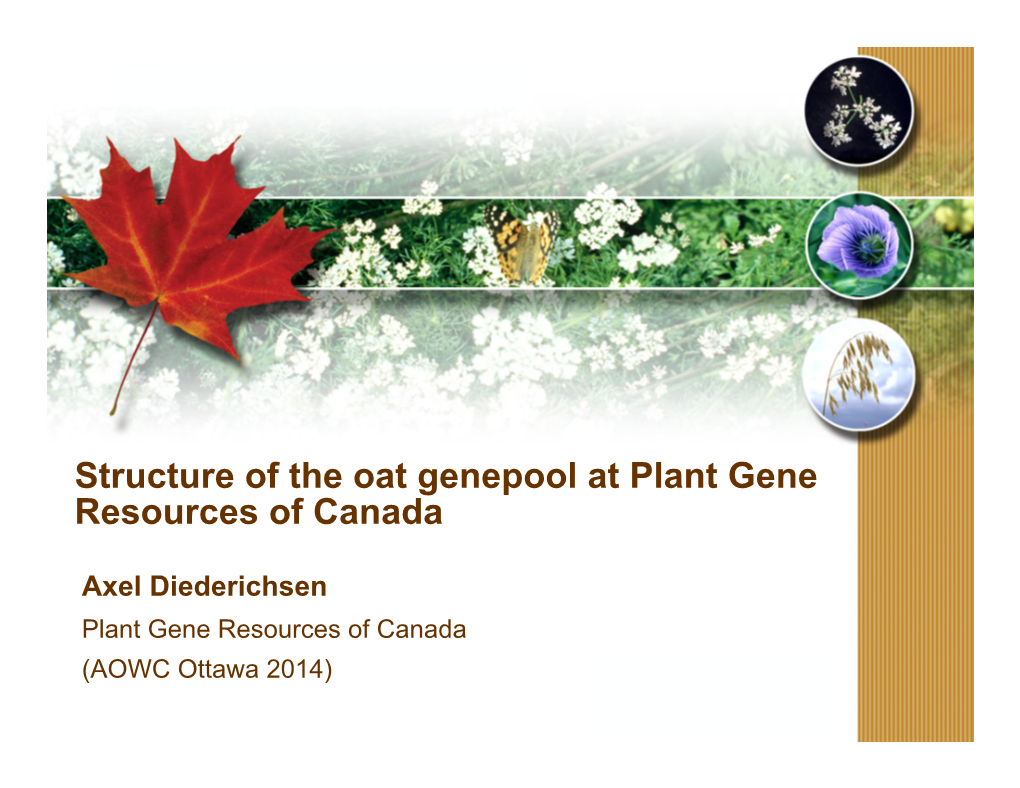 Structure of the Oat Genepool at Plant Gene Resources of Canada