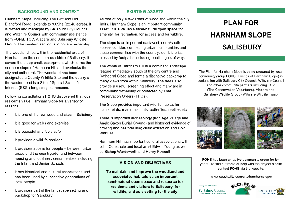 Plan for Harnham Slope Salisbury