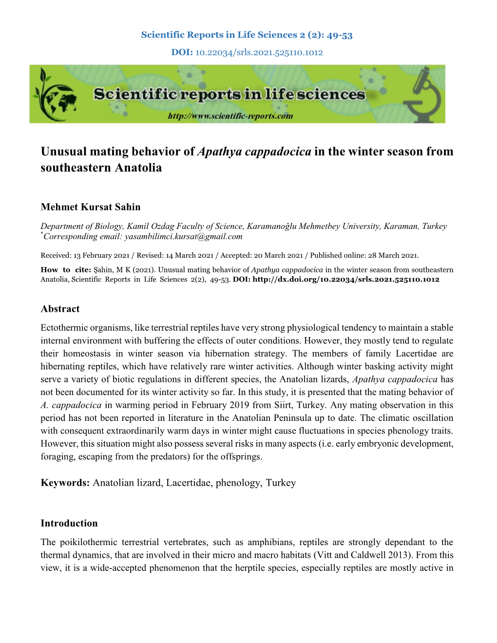 Unusual Mating Behavior of Apathya Cappadocica in the Winter Season from Southeastern Anatolia