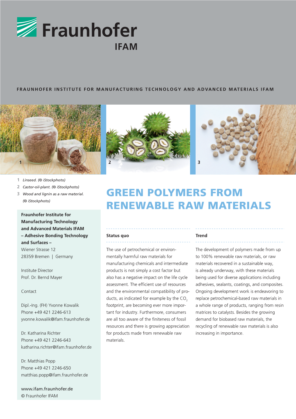 Polymers from Renewable Raw Materials