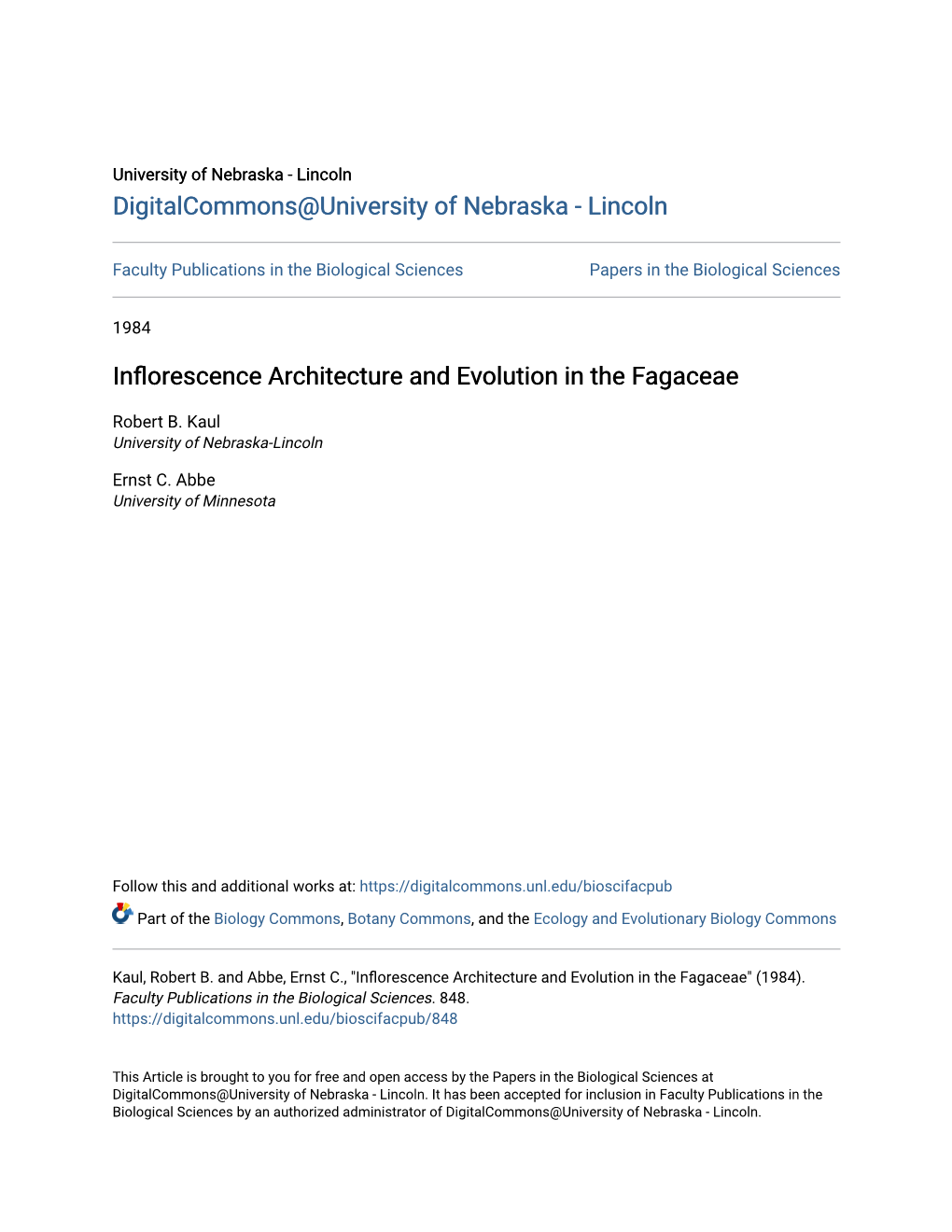 Inflorescence Architecture and Evolution in the Fagaceae