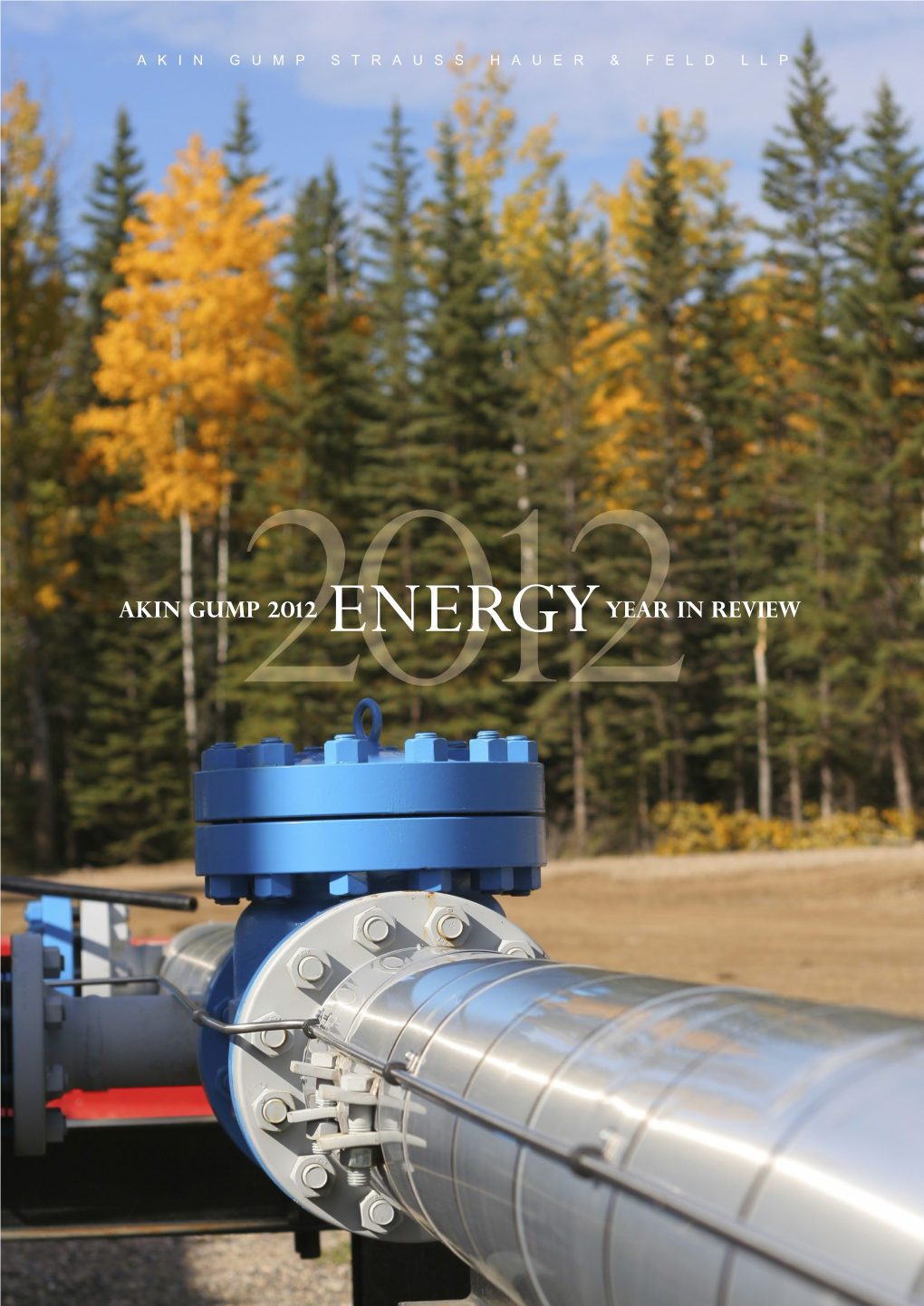 2012 Energy Brochure Year in Review