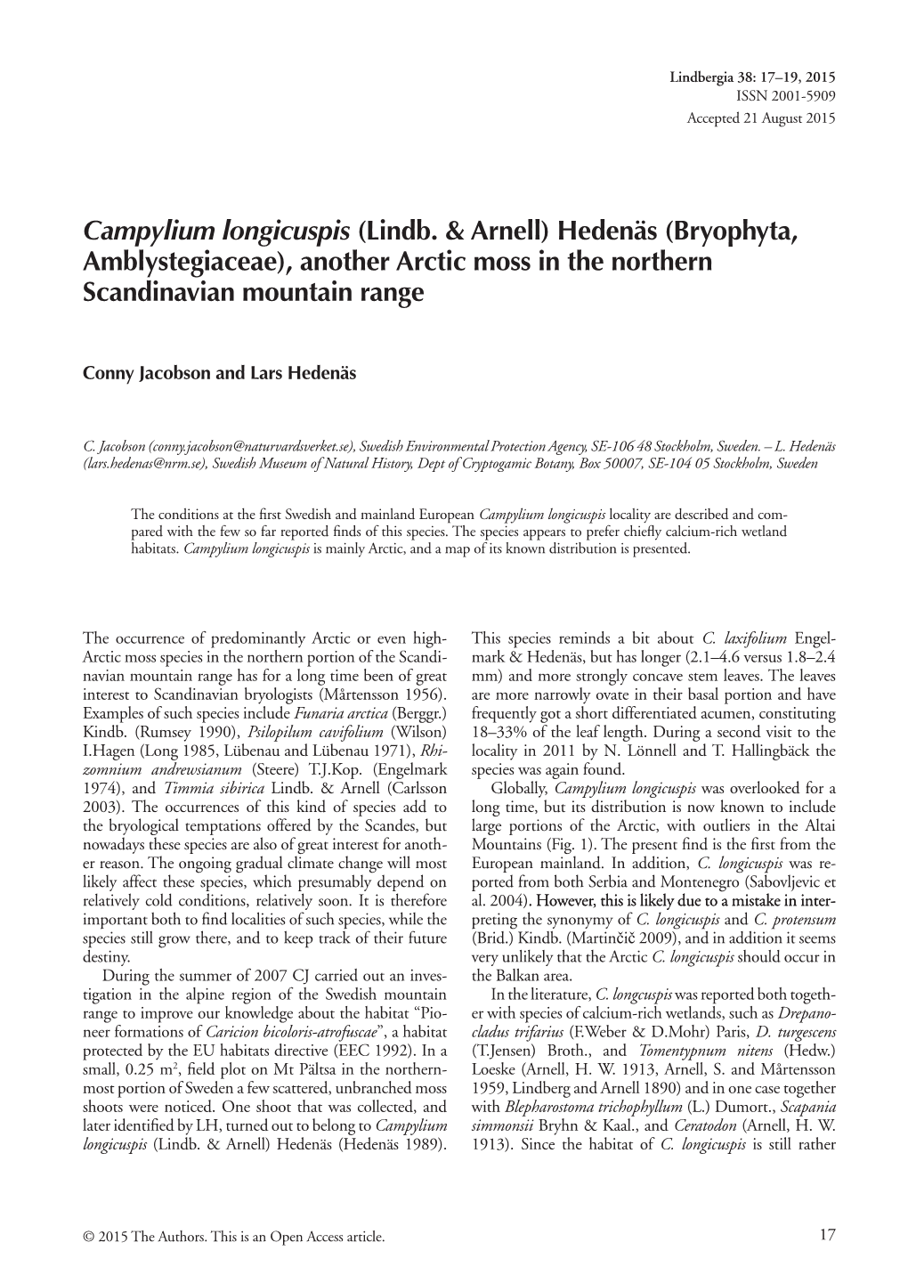 Campylium Longicuspis (Lindb. & Arnell) Hedenäs