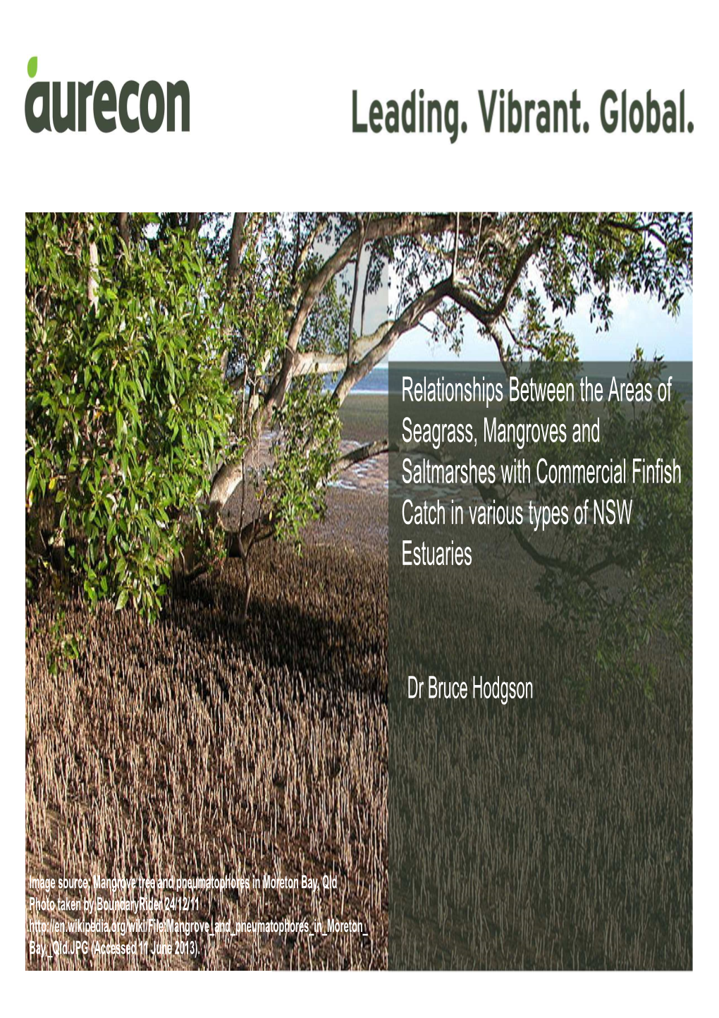 Relationships Between the Areas of Seagrass, Mangroves and Saltmarshes with Commercial Finfish Catch in Various Types of NSW Estuaries
