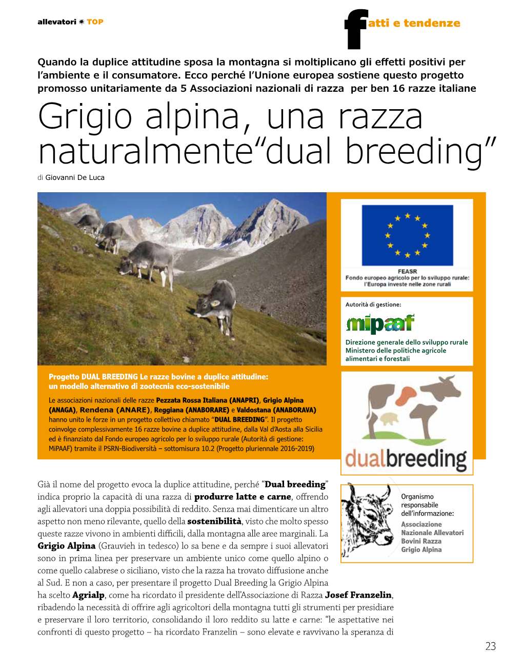 Grigio Alpina, Una Razza Naturalmente“Dual Breeding” Di Giovanni De Luca