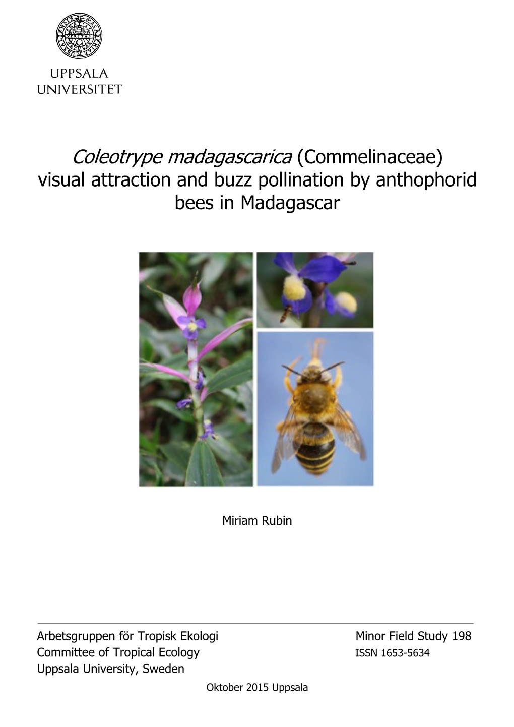 Coleotrype Madagascarica (Commelinaceae) Visual Attraction and Buzz Pollination by Anthophorid Bees in Madagascar