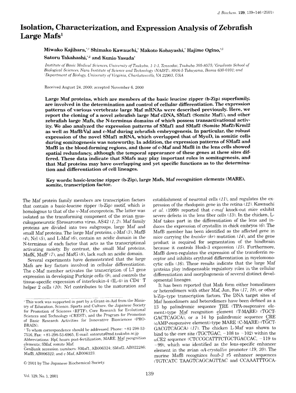Isolation, Characterization, and Expression Analysis of Zebrafish Large Mafs1