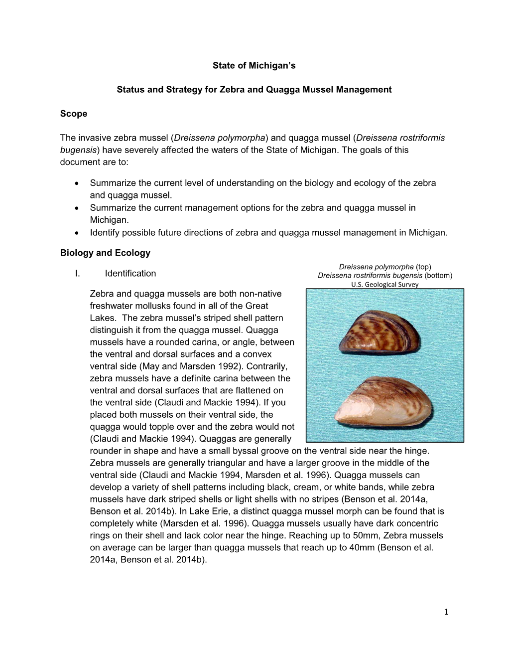 Status and Strategy for Zebra and Quagga Mussel Management