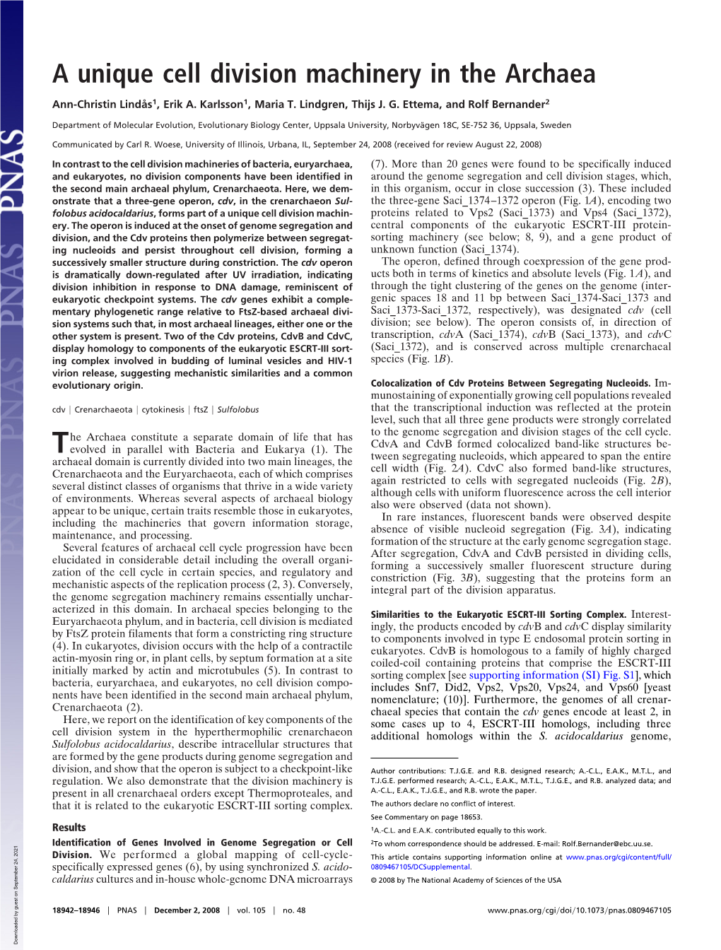 A Unique Cell Division Machinery in the Archaea