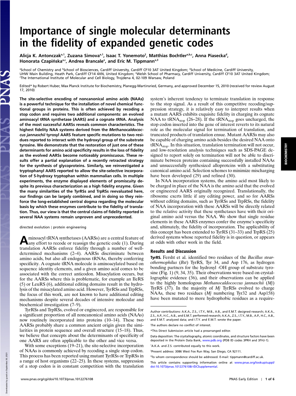 Importance of Single Molecular Determinants in the Fidelity of Expanded Genetic Codes