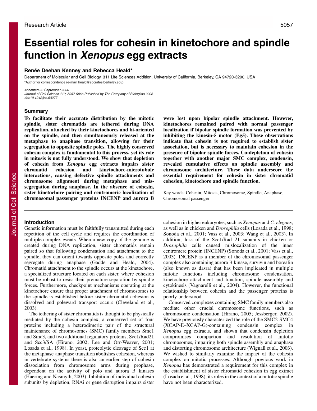 Essential Roles for Cohesin in Kinetochore and Spindle Function in Xenopus Egg Extracts