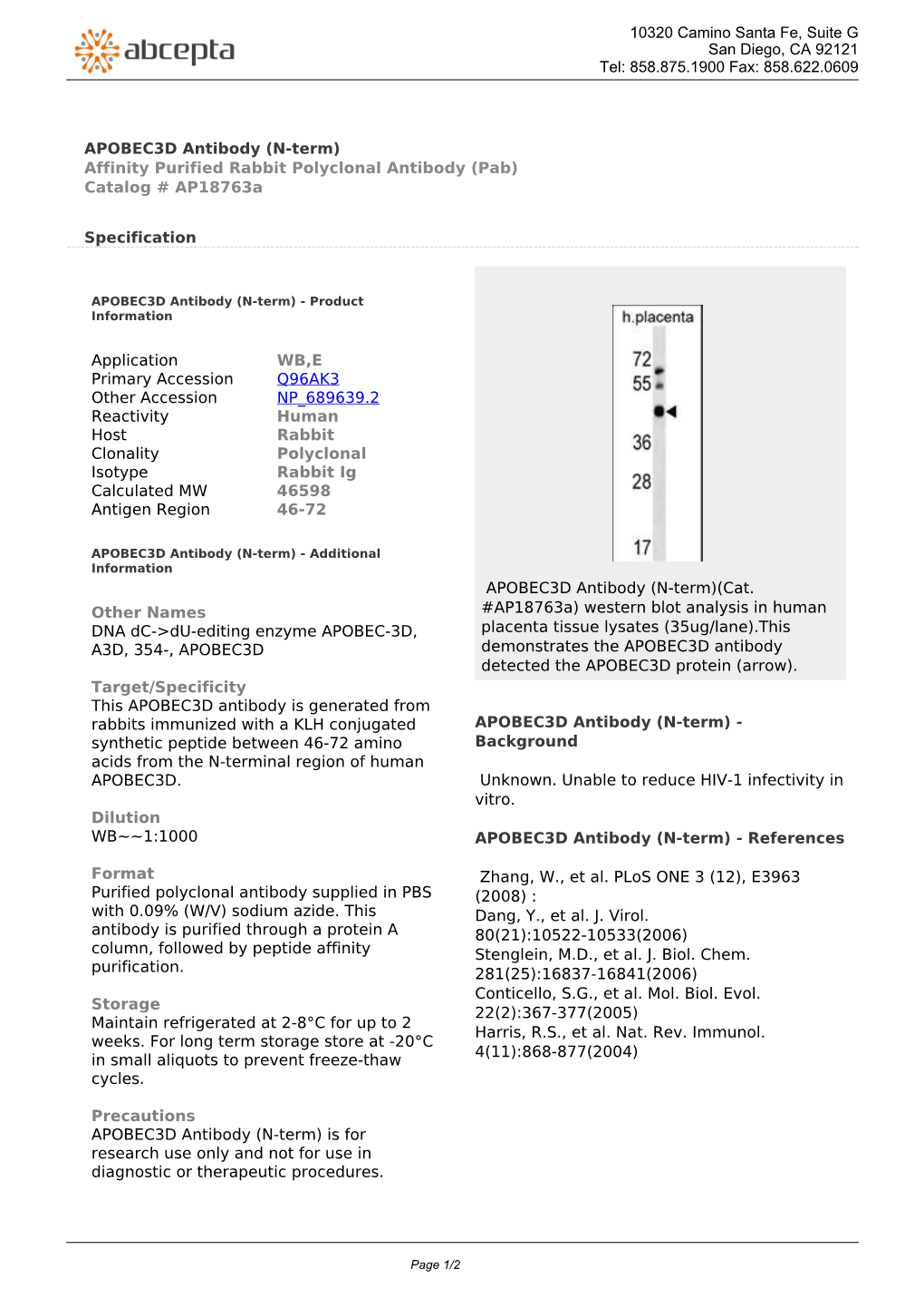 APOBEC3D Antibody (N-Term) Affinity Purified Rabbit Polyclonal Antibody (Pab) Catalog # Ap18763a