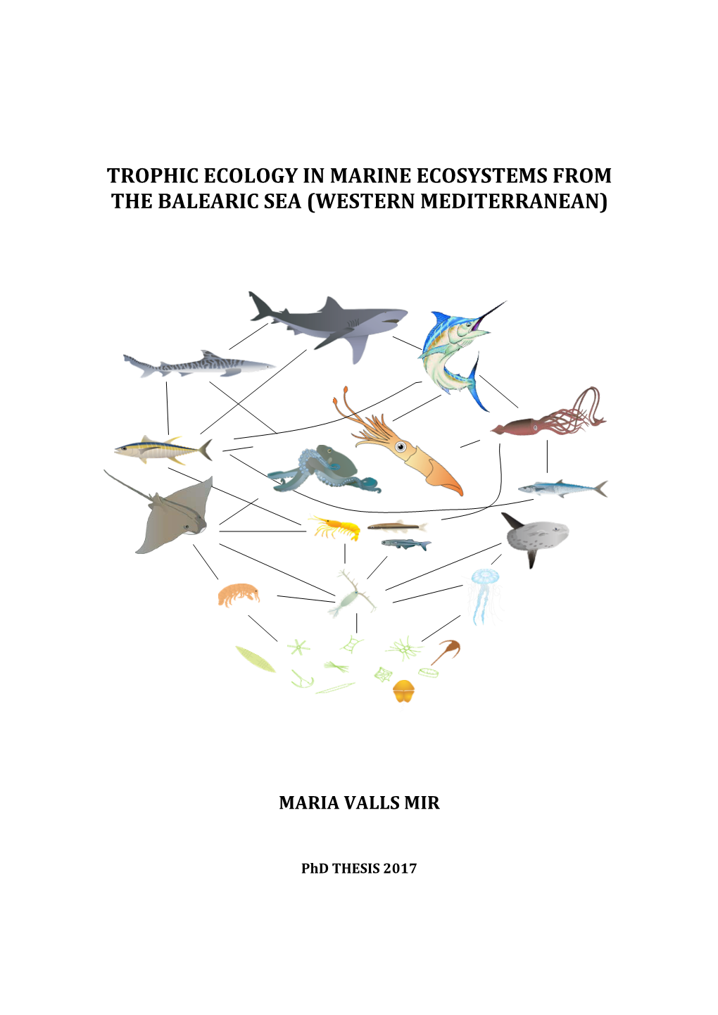 Trophic Ecology in Marine Ecosystems from the Balearic Sea (Western Mediterranean)