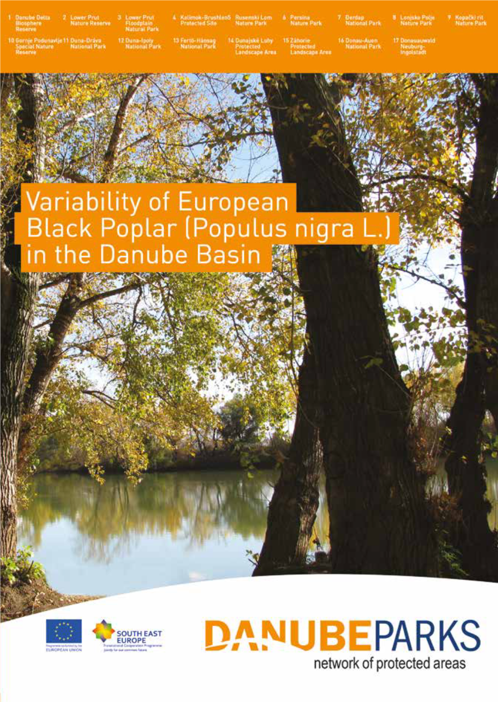 Variability of European Black Poplar (Populus Nigra