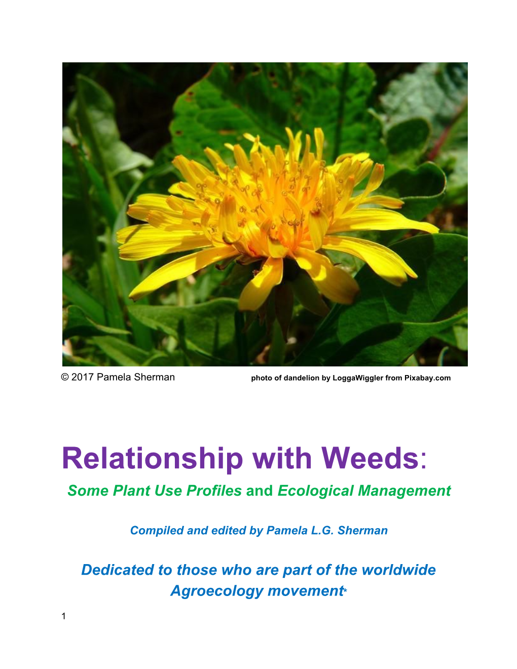 Relationship with Weeds​