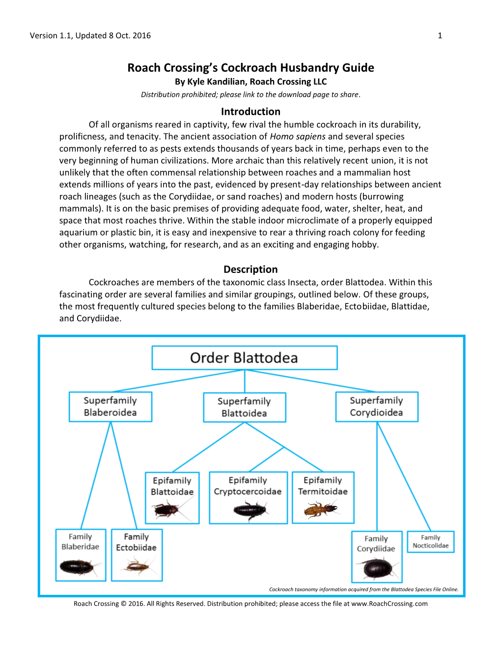 Roach Crossing's Cockroach Husbandry Guide V1.1