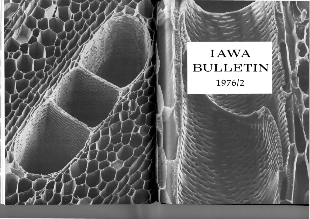 Iawa Bulletin