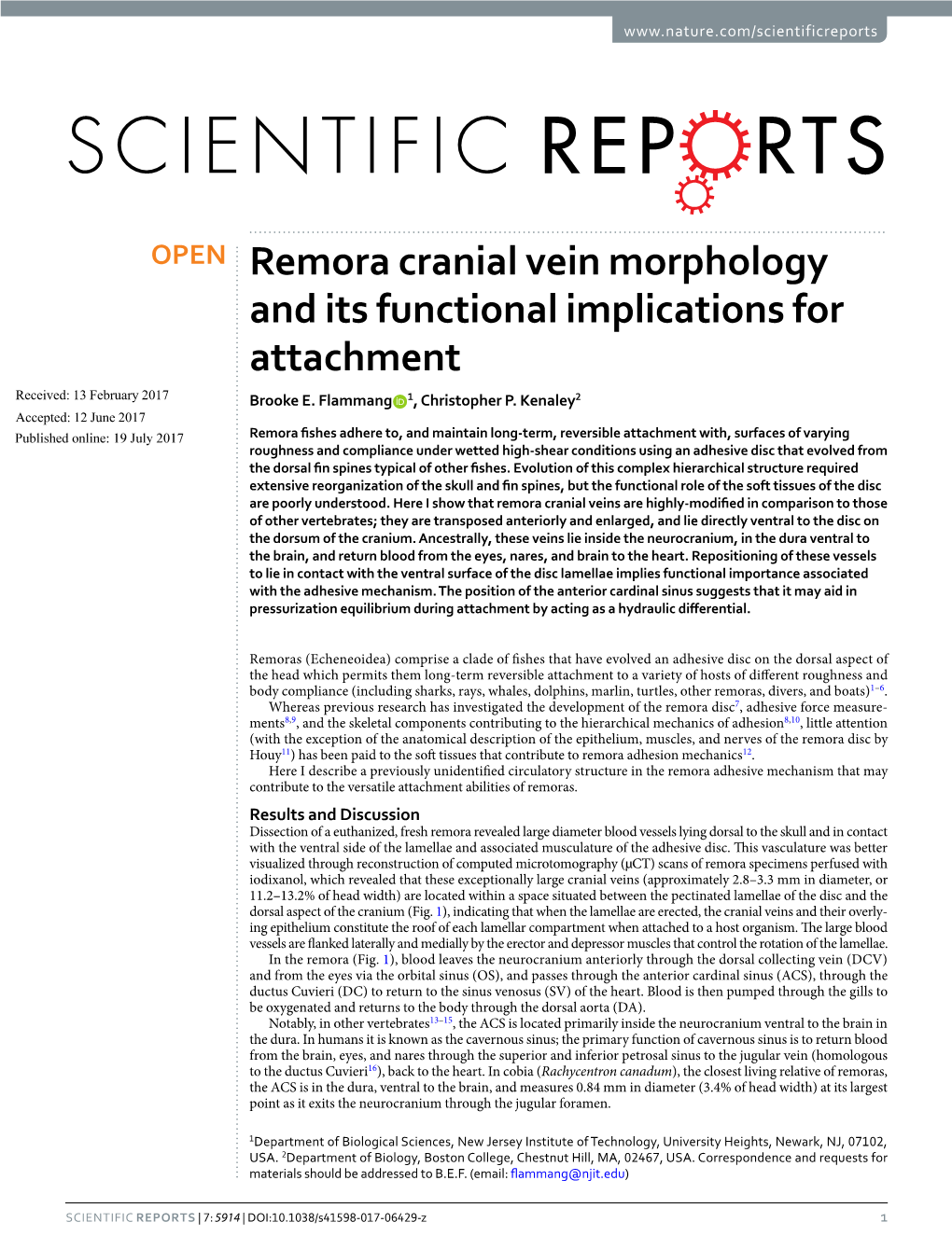 Remora Cranial Vein Morphology and Its Functional Implications for Attachment Received: 13 February 2017 Brooke E