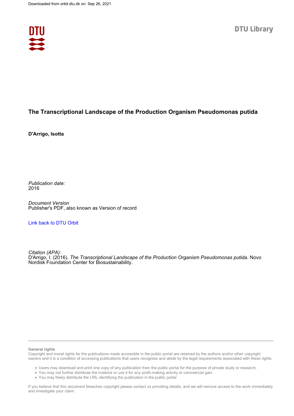 The Transcriptional Landscape of the Production Organism Pseudomonas Putida