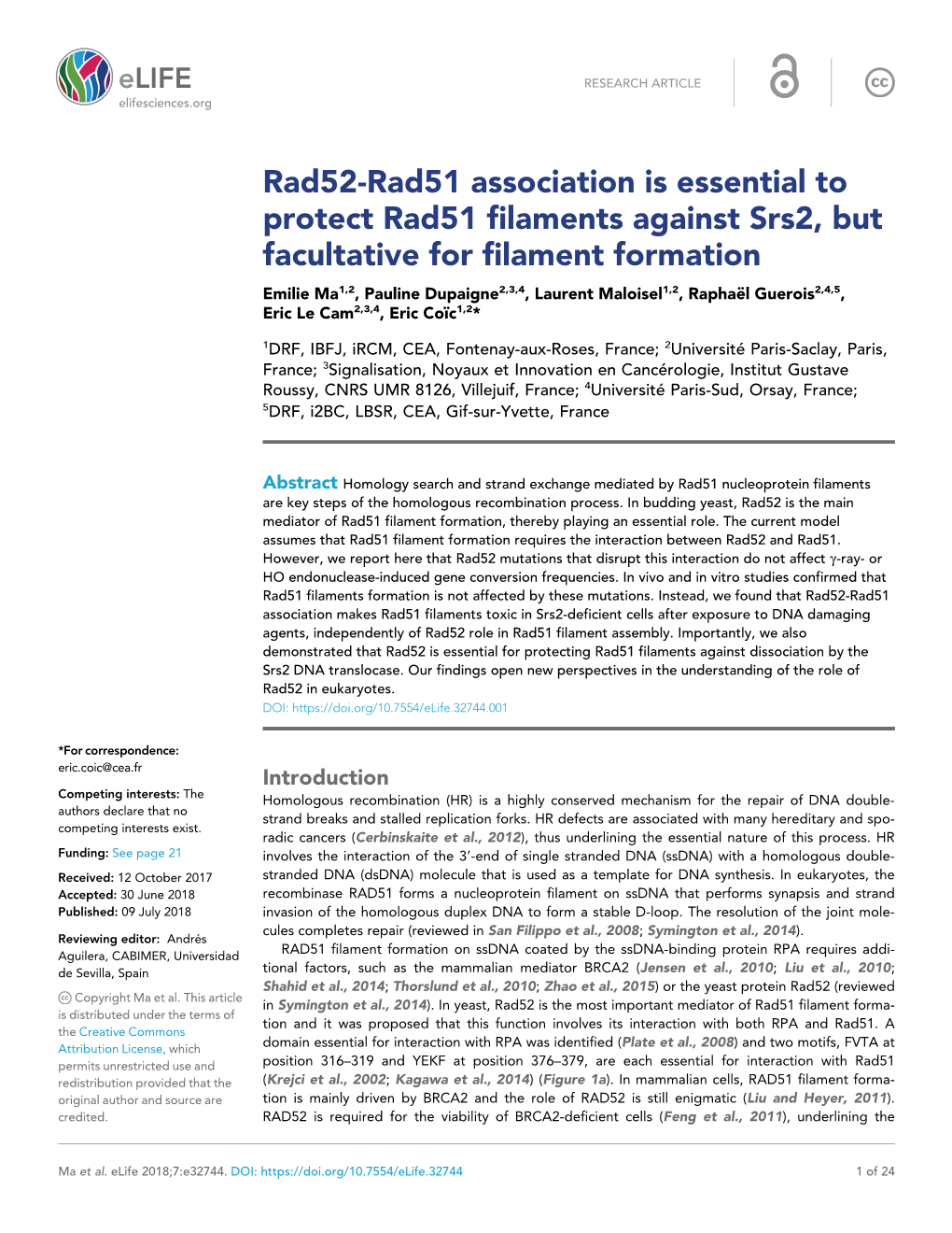 Rad52-Rad51 Association Is Essential to Protect Rad51 Filaments Against