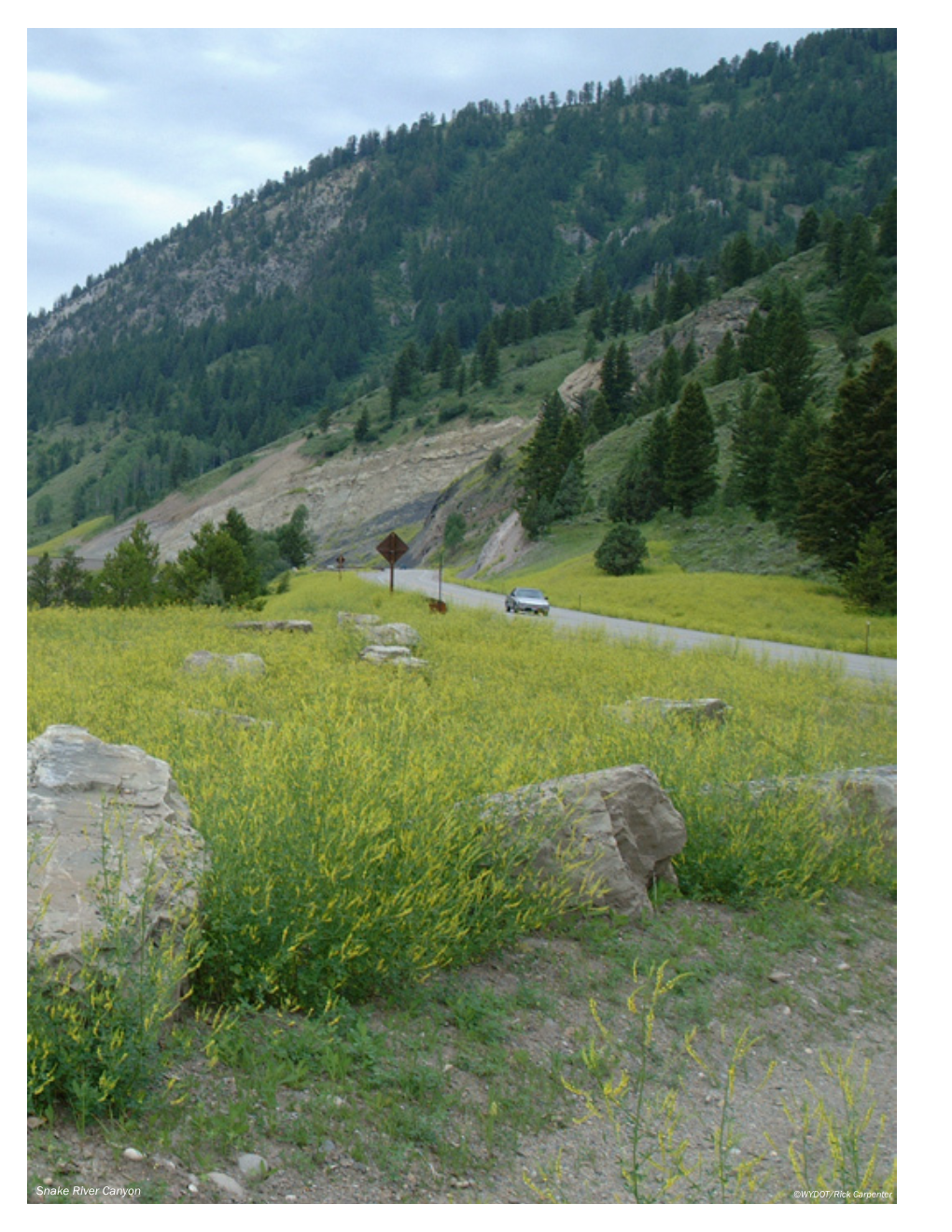 Snake River Canyon ©WYDOT/Rick Carpenter Corridor 2 Geneva to Hoback Junction US 89