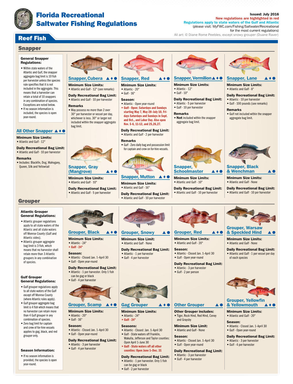 Florida Recreational Saltwater Fishing Regulations