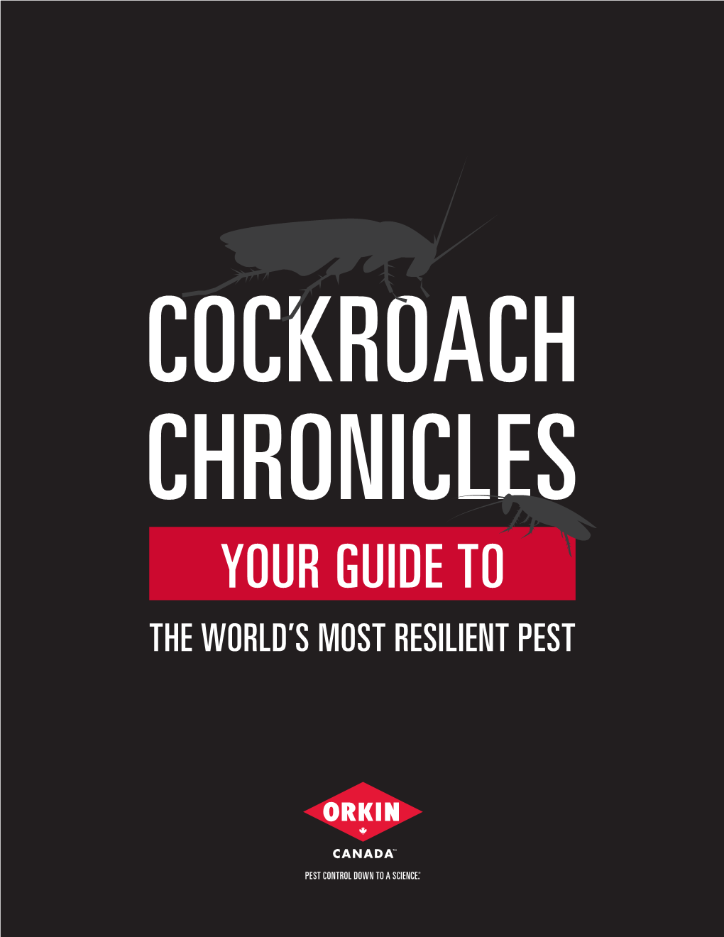 Your Guide to the World’S Most Resilient Pest