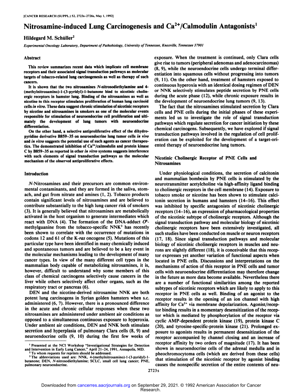 Nitrosamine-Induced Lung Carcinogenesis and Ca2+/Calmodulin Antagonists