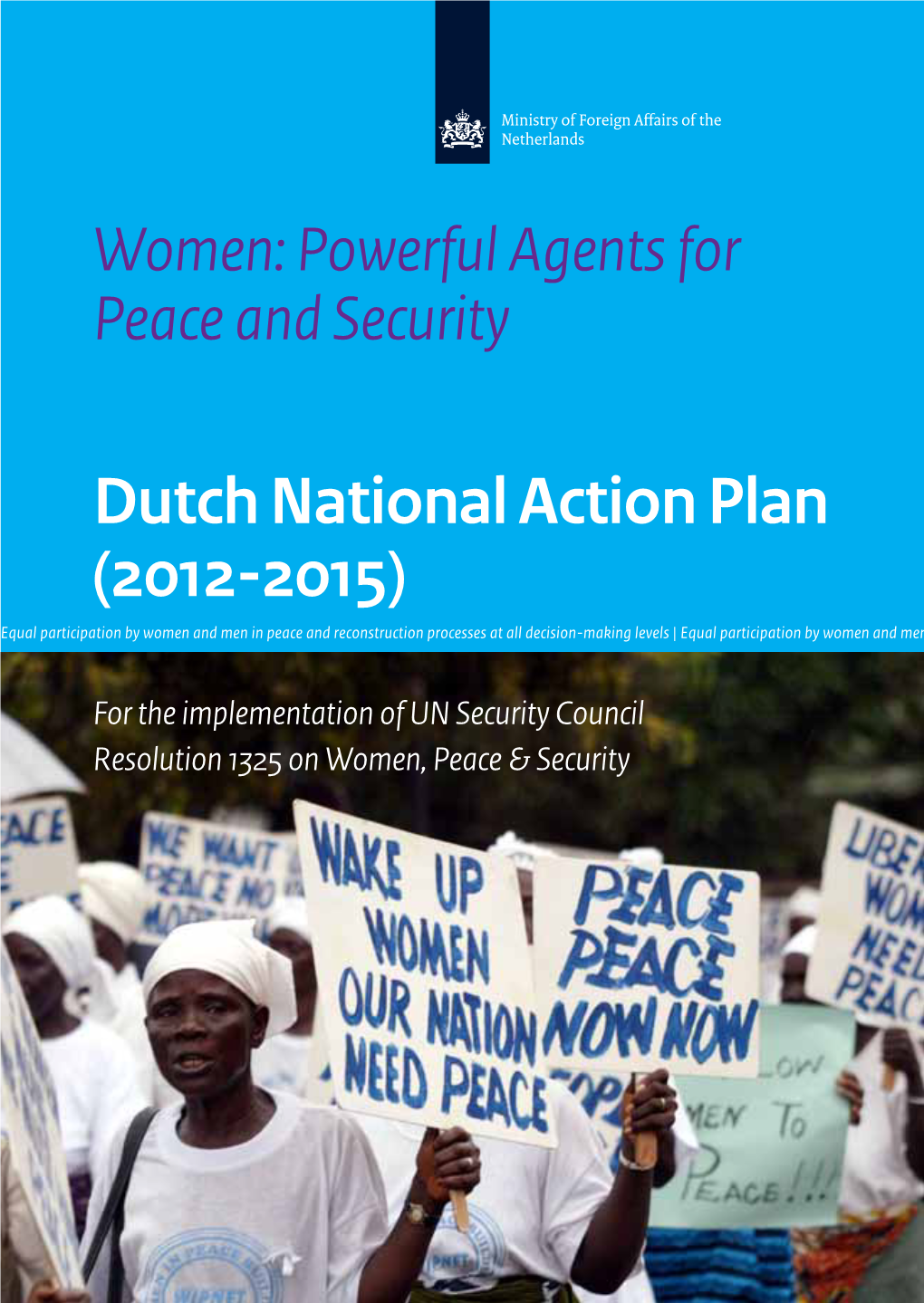 Dutch National Action Plan (2012-2015)
