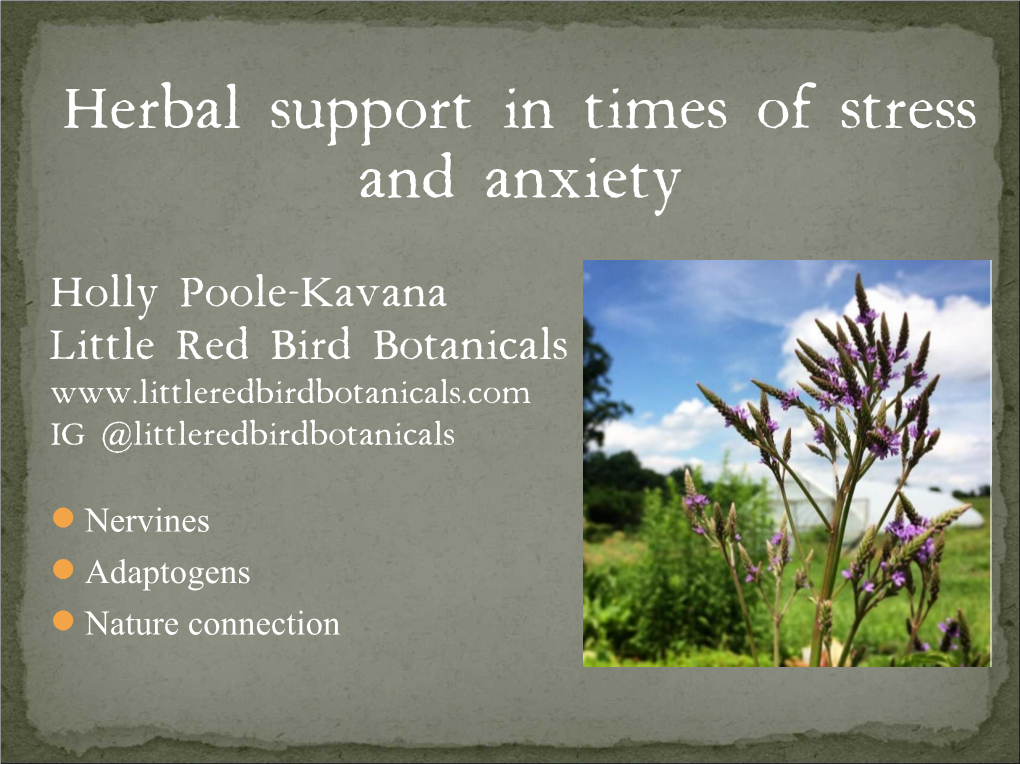 Herbal Support in Times of Stress and Anxiety