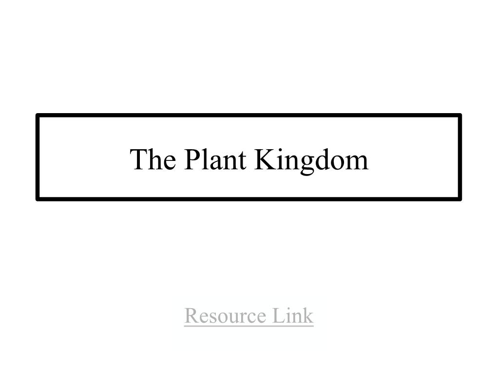 Plants Are Vascular Or Nonvascular