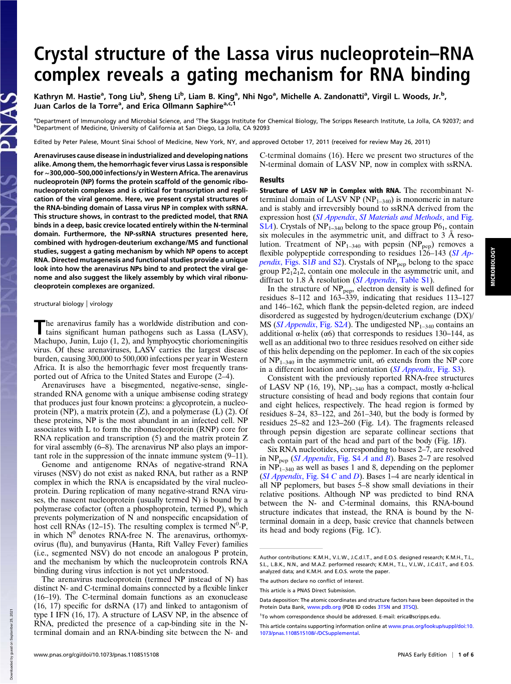 Crystal Structure of the Lassa Virus Nucleoprotein–RNA Complex Reveals a Gating Mechanism for RNA Binding