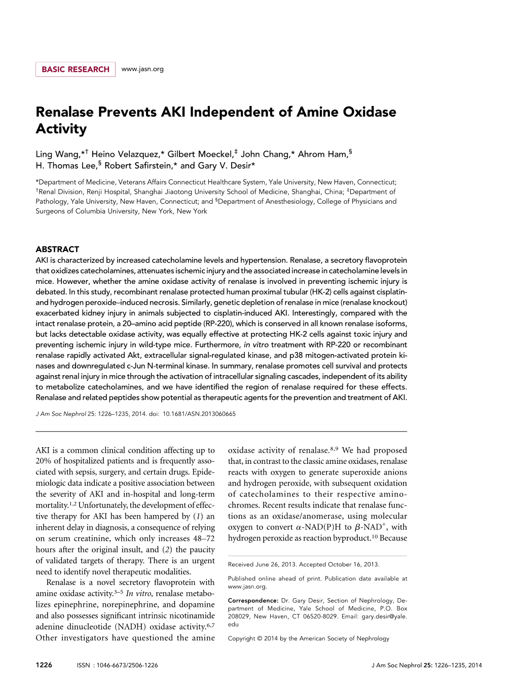 Renalase Prevents AKI Independent of Amine Oxidase Activity