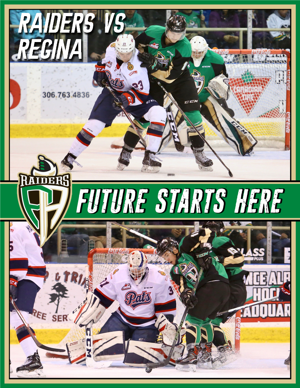 Prince Albert Raiders