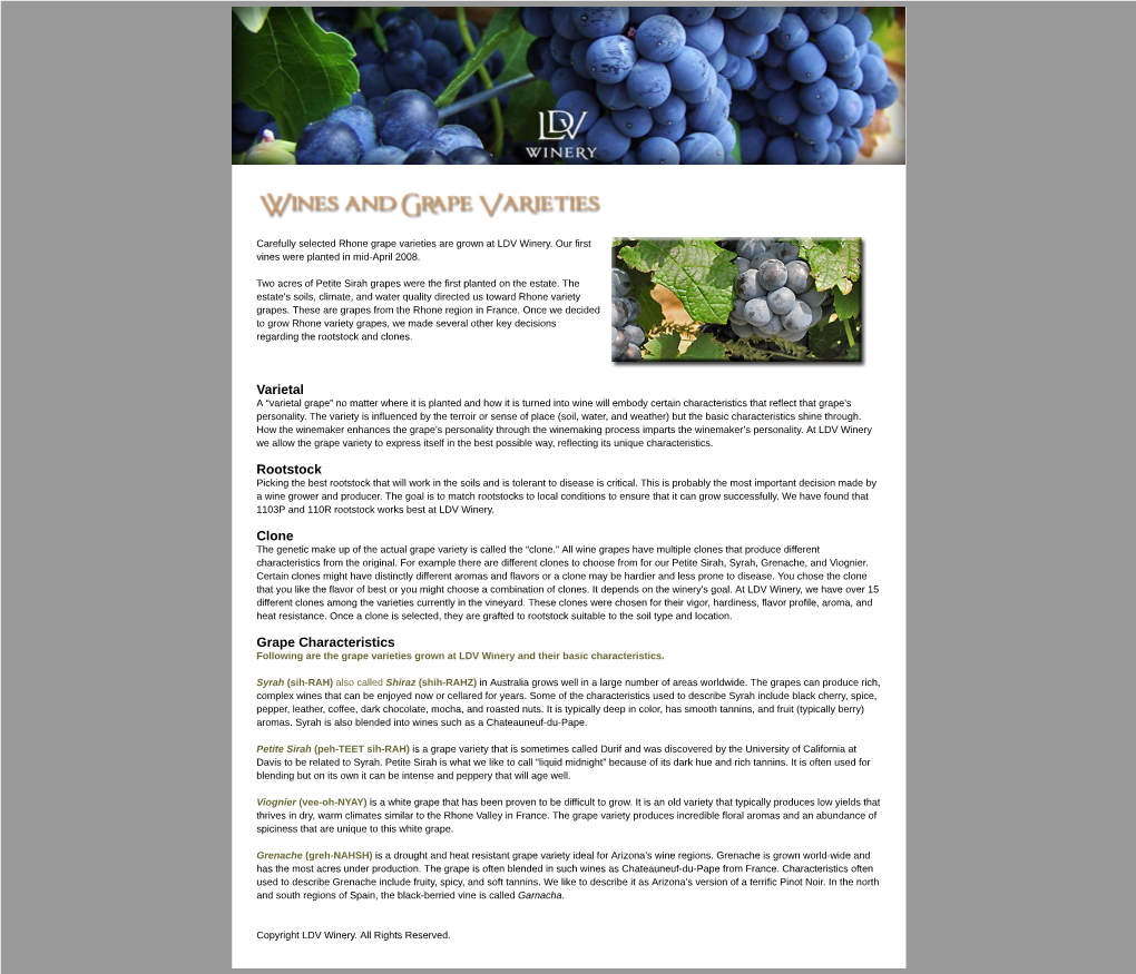 Wines and Grape Varieties