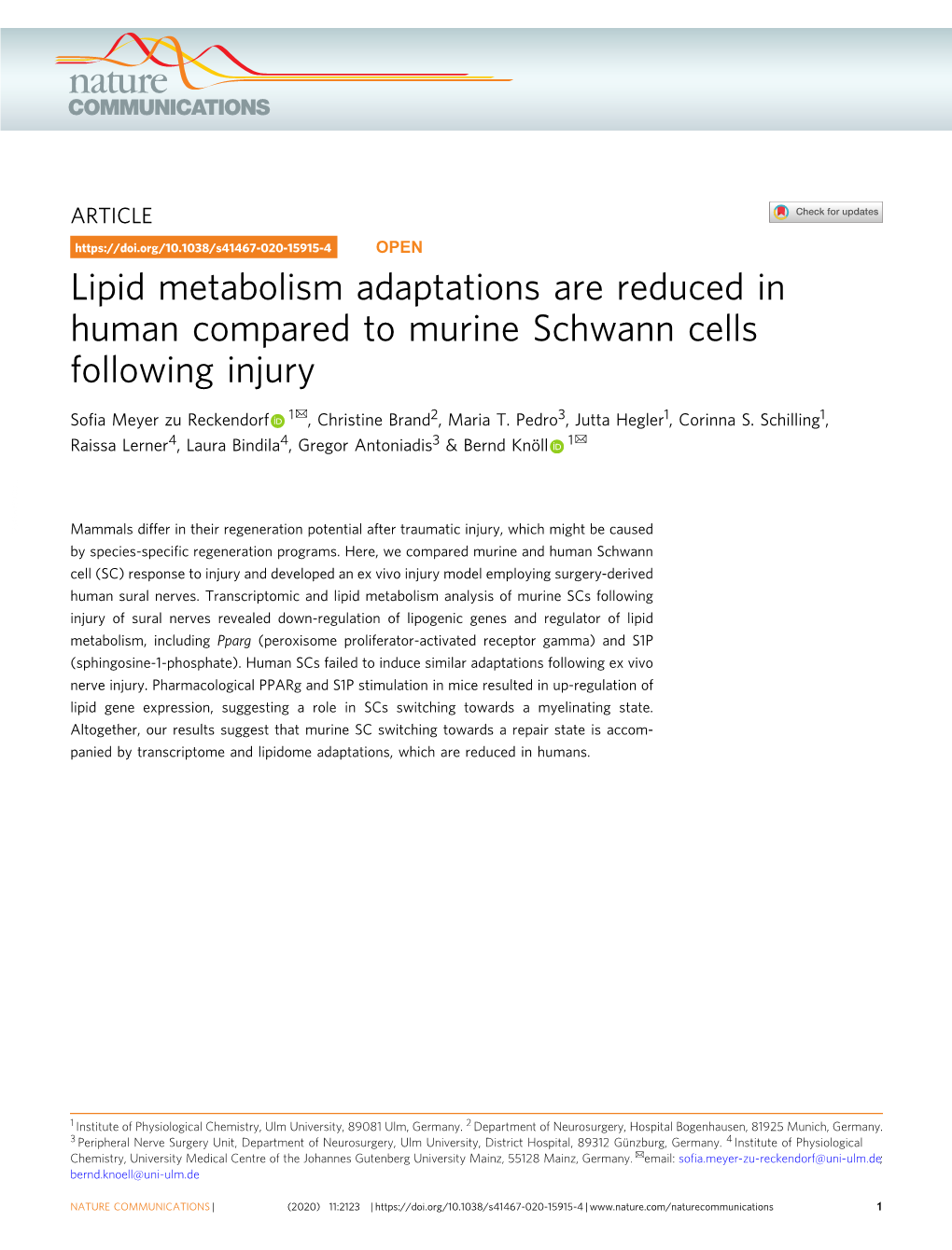 Lipid Metabolism Adaptations Are Reduced in Human Compared to Murine Schwann Cells Following Injury ✉ Soﬁa Meyer Zu Reckendorf 1 , Christine Brand2, Maria T