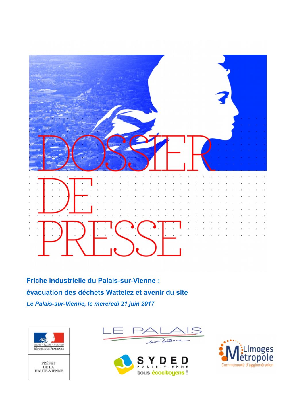 Friche Industrielle Du Palais-Sur-Vienne : Évacuation Des Déchets Wattelez Et Avenir Du Site Le Palais-Sur-Vienne, Le Mercredi 21 Juin 2017 SOMMAIRE