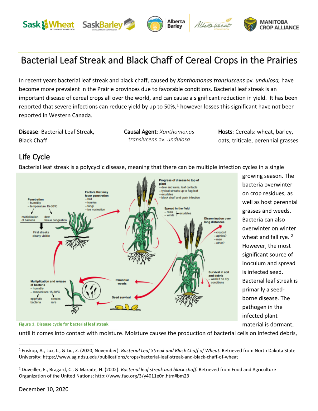 Bacterial Diseases of Cereals in the Prairies